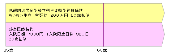 終身保険で医療費を準備図