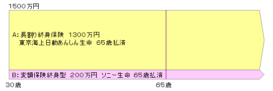 終身保険組み合わせ図2